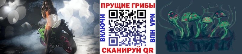 Псилоцибиновые грибы ЛСД  купить   мега рабочий сайт  Красноуральск 